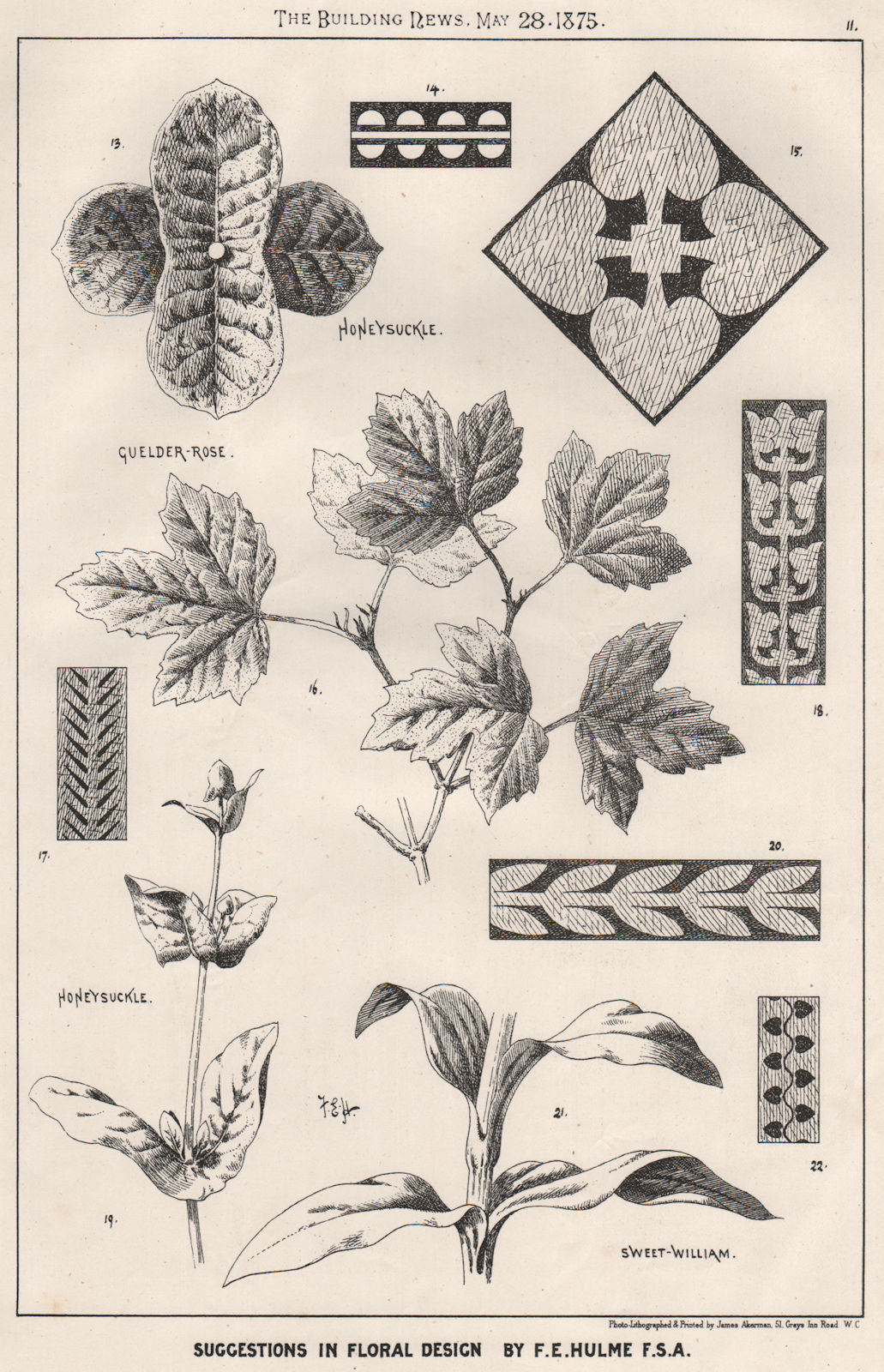 Suggestions in Floral; Design by F.E. Hulme F.S.A.. Decorative 1875 old print